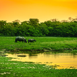 Three Sister ( Arunachal, Meghalaya, Assam) Three Sister ( Arunachal, Meghalaya, Assam)