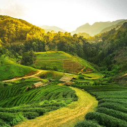 Seven Sister (Arunachal, Meghalya, Assam, Tripura, Mizoram, Nagaland, Manipur) Seven Sister (Arunachal, Meghalya, Assam, Tripura, Mizoram, Nagaland, Manipur)