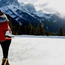 Shimala- Manali- Chandigarh Shimala- Manali- Chandigarh